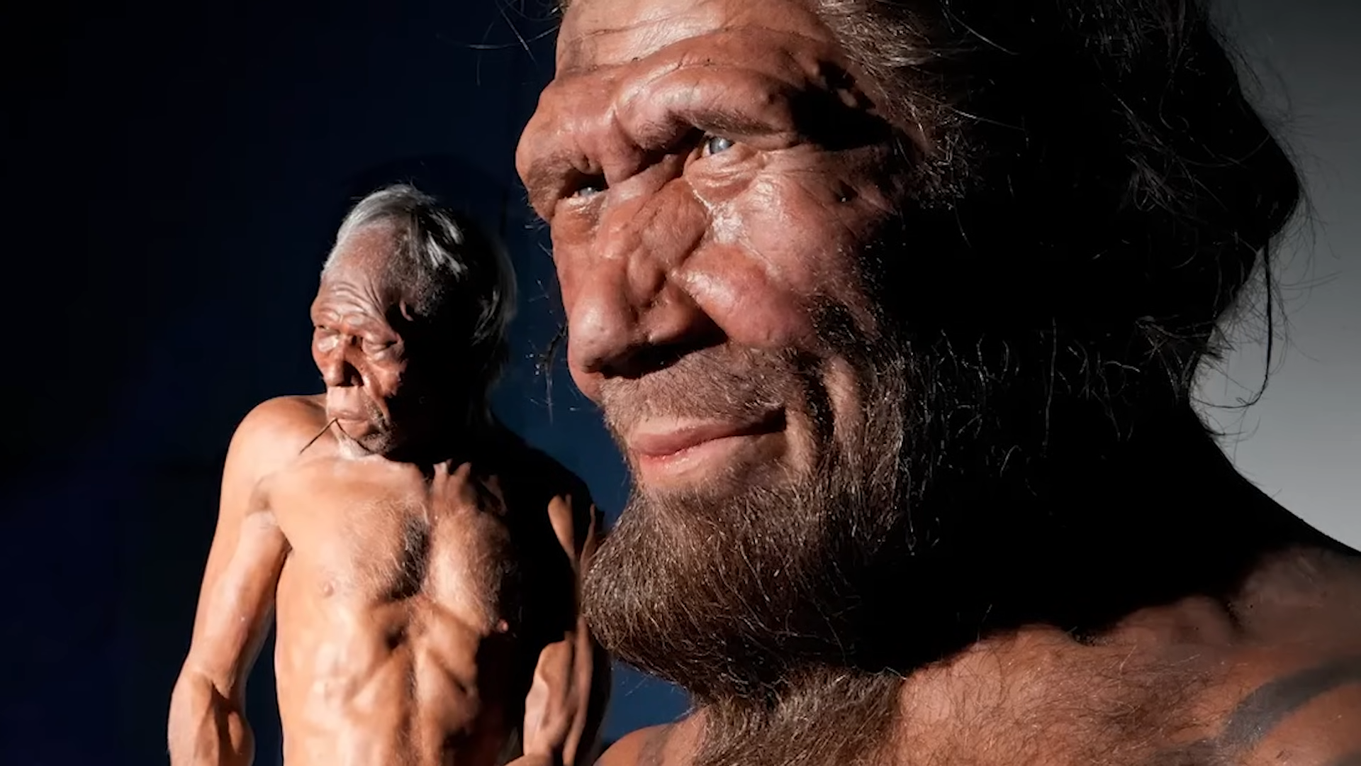 Neanderthals - the humans we tried to forget