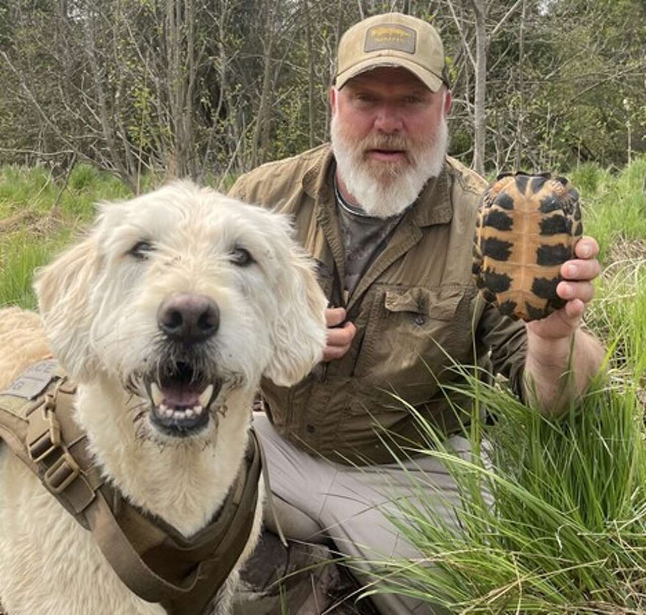 Mooz the dog helps scientists study threatened turtles