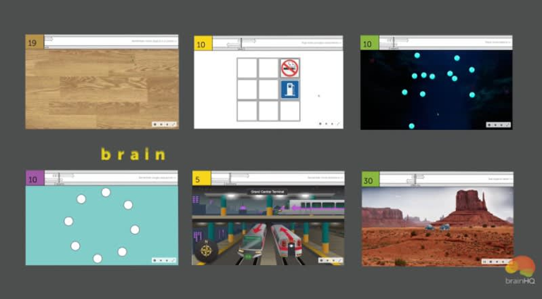 To Offset, or Even Reverse, Cognitive Decline, Train Your Brain