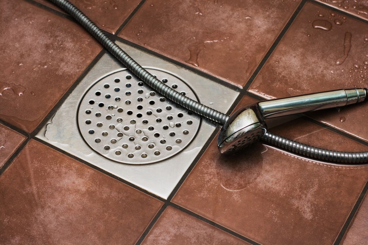 Shower drain and shower head