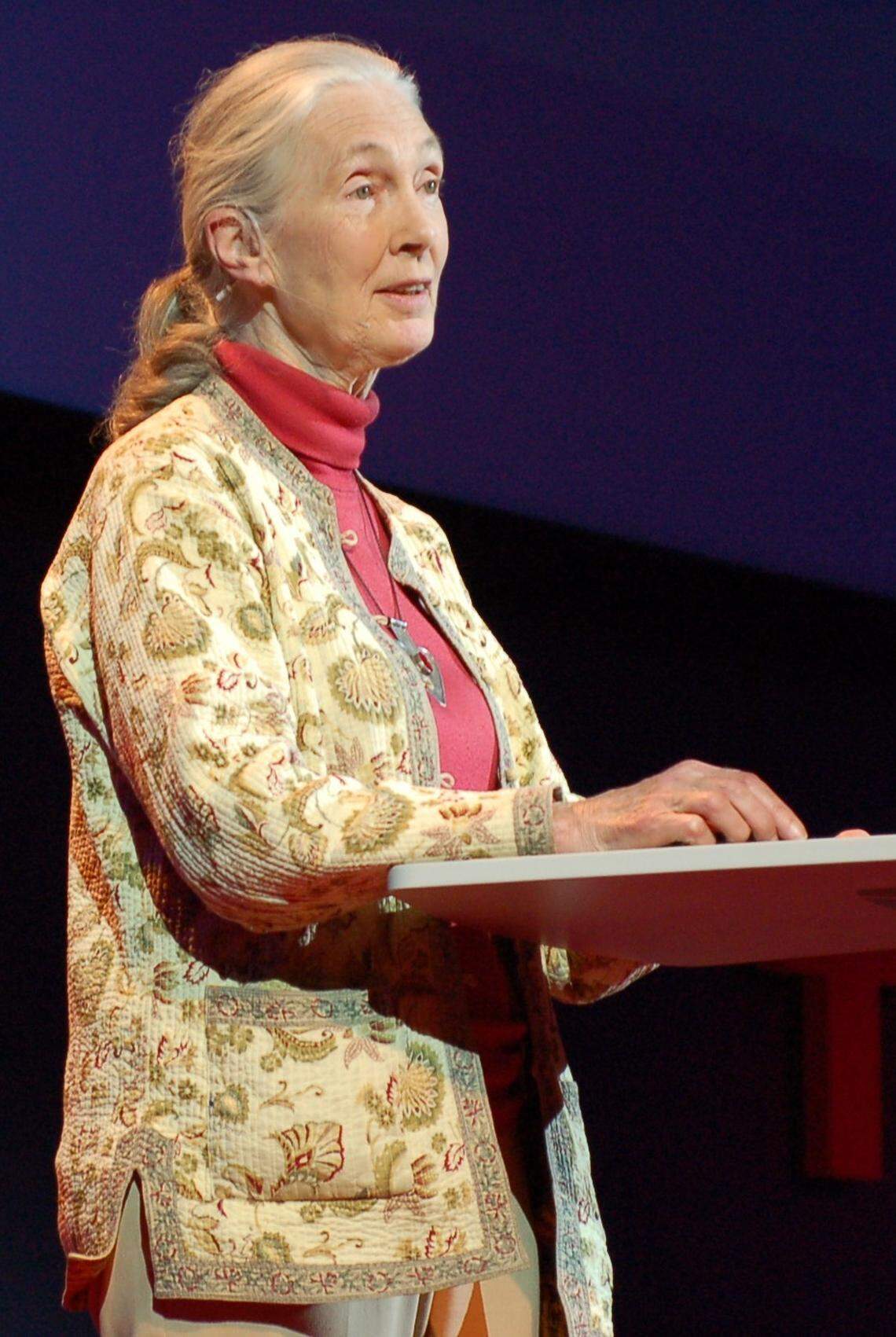 Gracias, Jane Goodall, por recordarnos el poder de la inspiración