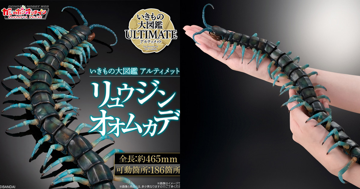 186箇所が可動！翡翠色に輝く半水棲ムカデ・リュウジンオオムカデが