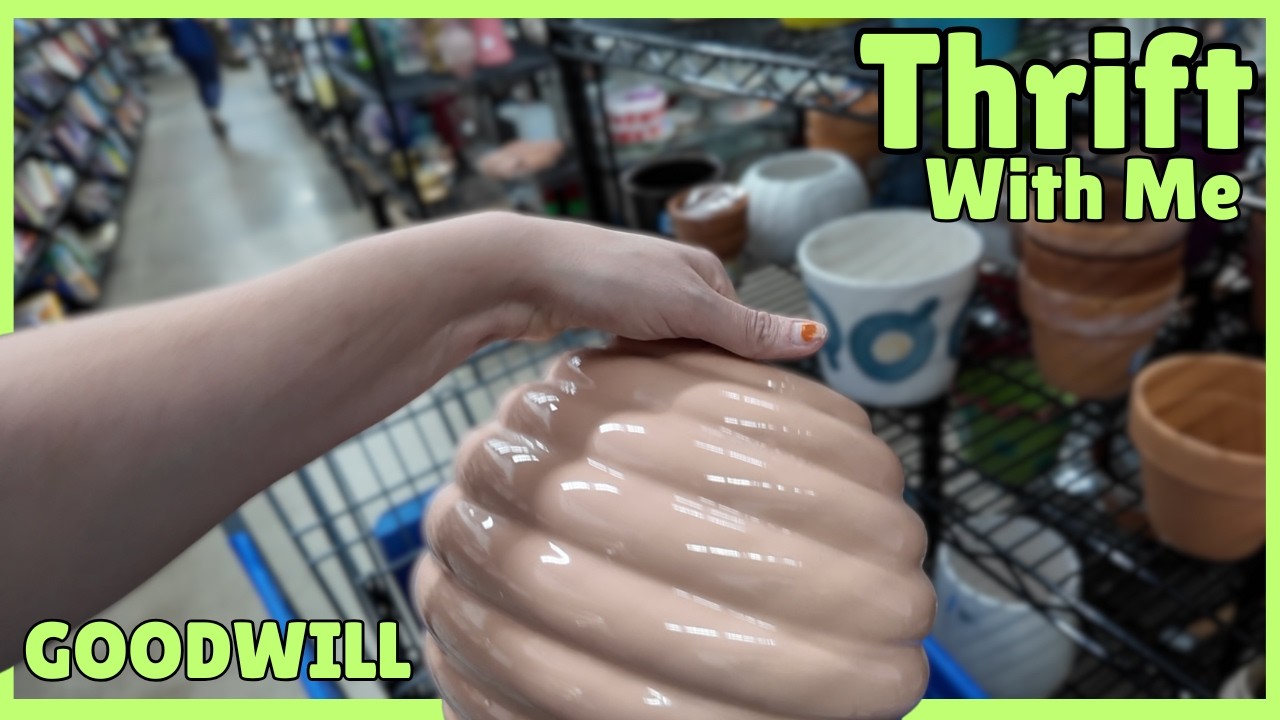 Cart Was Overflowing at Goodwill | Thrift with Me