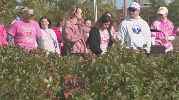 Making strides against breast cancer walk returns to Buffalo's Outer ...