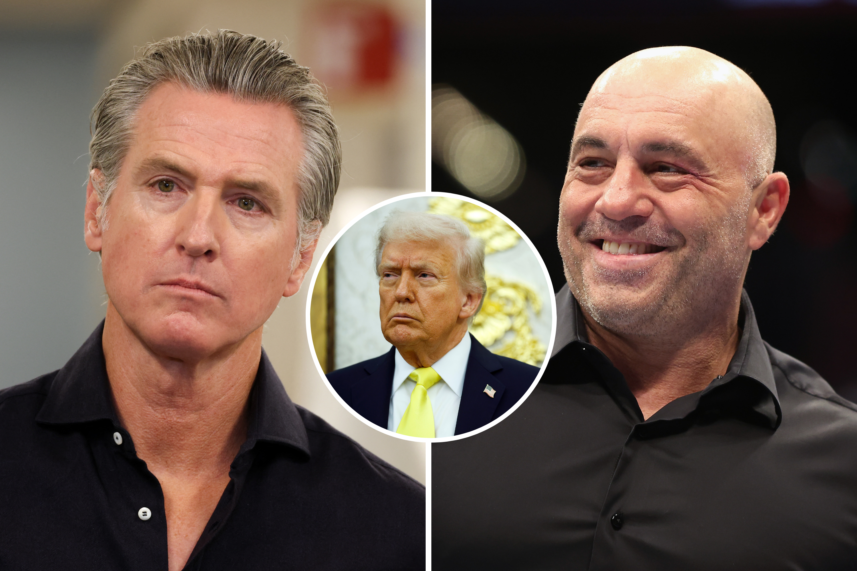 Joe Rogan tells Trump to run for California Governor: ‘hilarious’