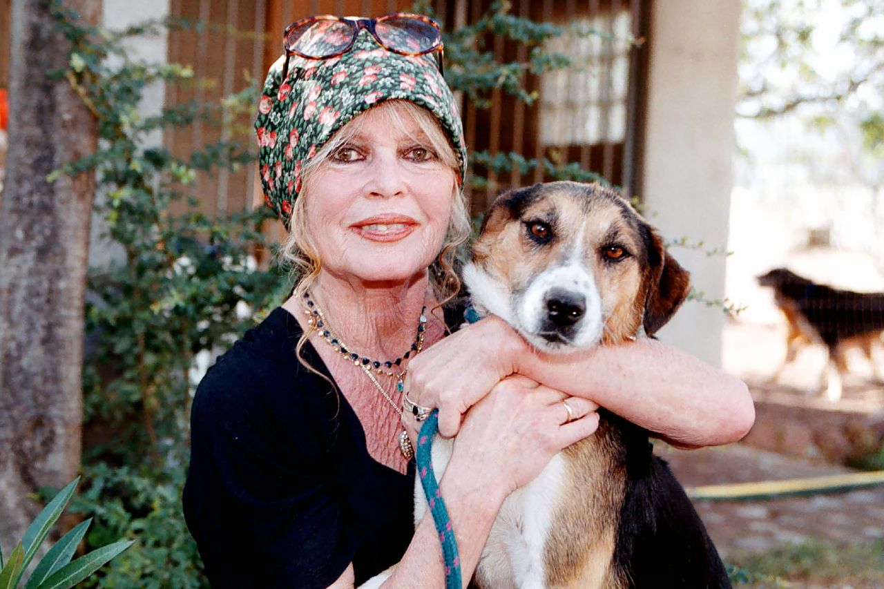 Charly Hel/Prestige/Getty Brigitte Bardot in 2001 in Paris, France