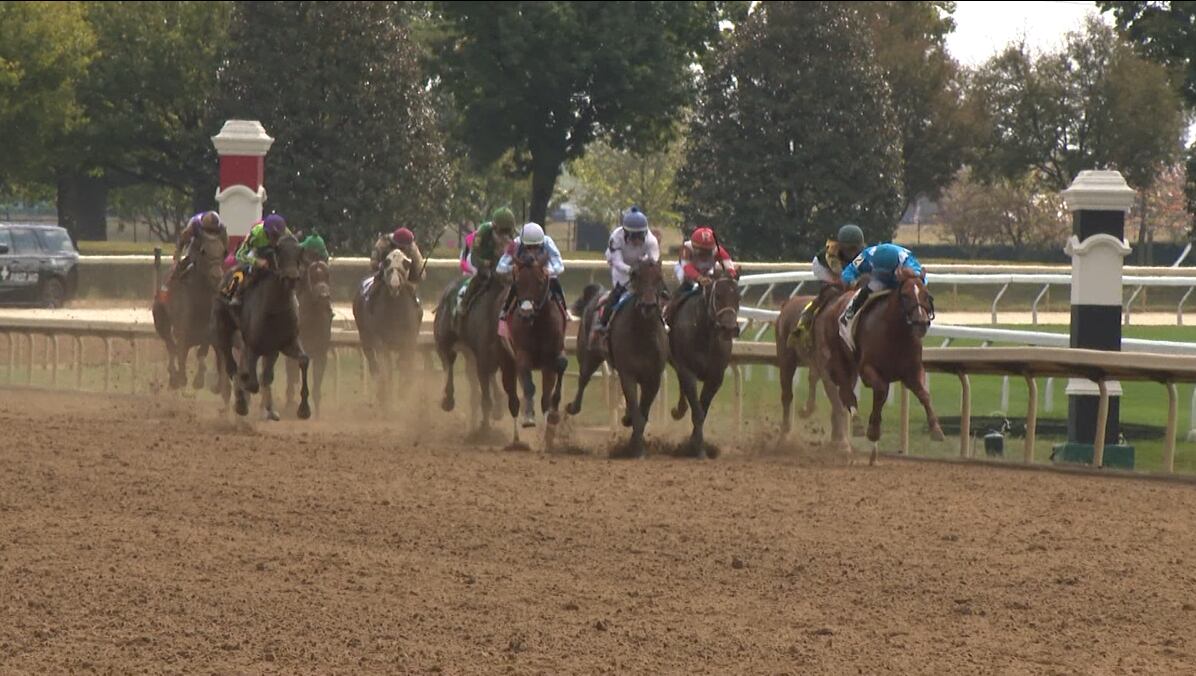 Good question: How many roads in Lexington are named after horses?