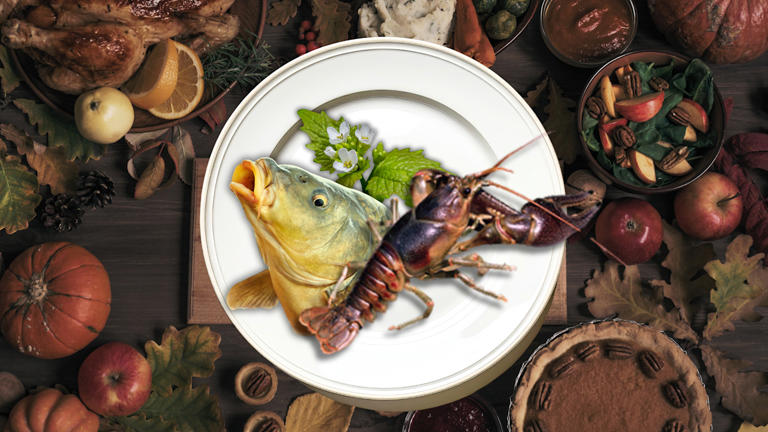 What's cooking? Three invasive species you can eat