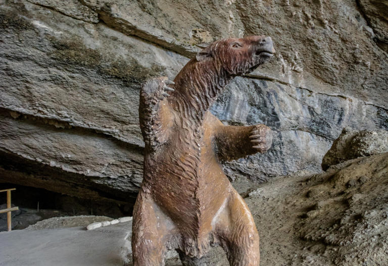 Sluggish Sloth’s Secrets Of Success Revealed In New Study