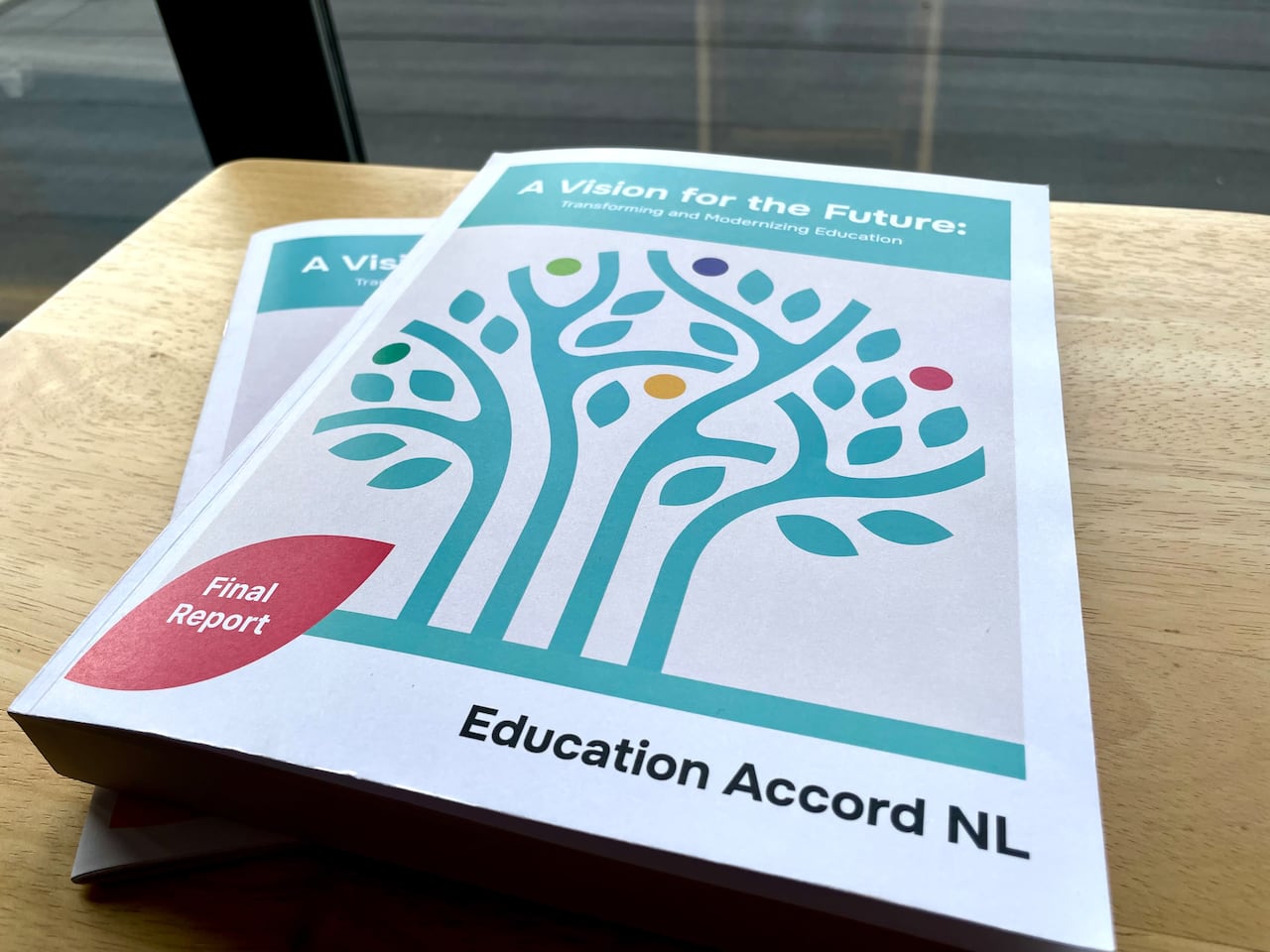 N.L. spent $755K on process that culminated in criticized Education Accord