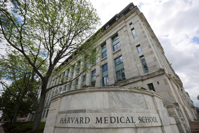 Harvard scraps $650 transgender health course after legal pushback over ...