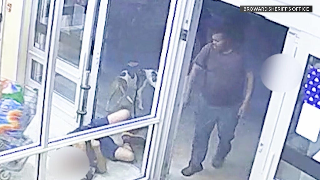 Man accused of sucker punching customer at Broward grocery store ...
