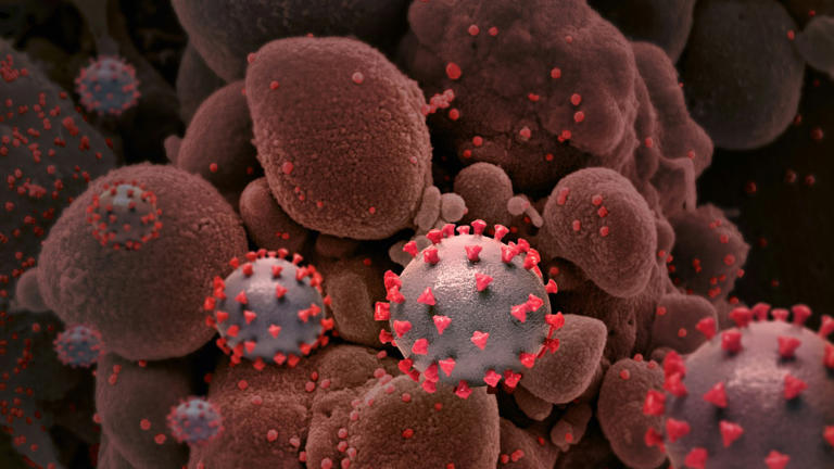 Molecular switch lets cancer cells dodge death