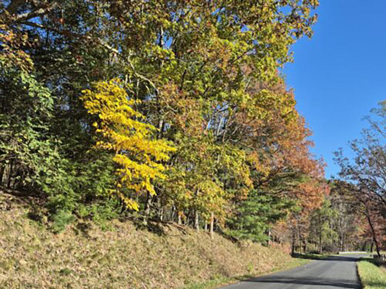Fall colors are peaking during week five of fall foliage