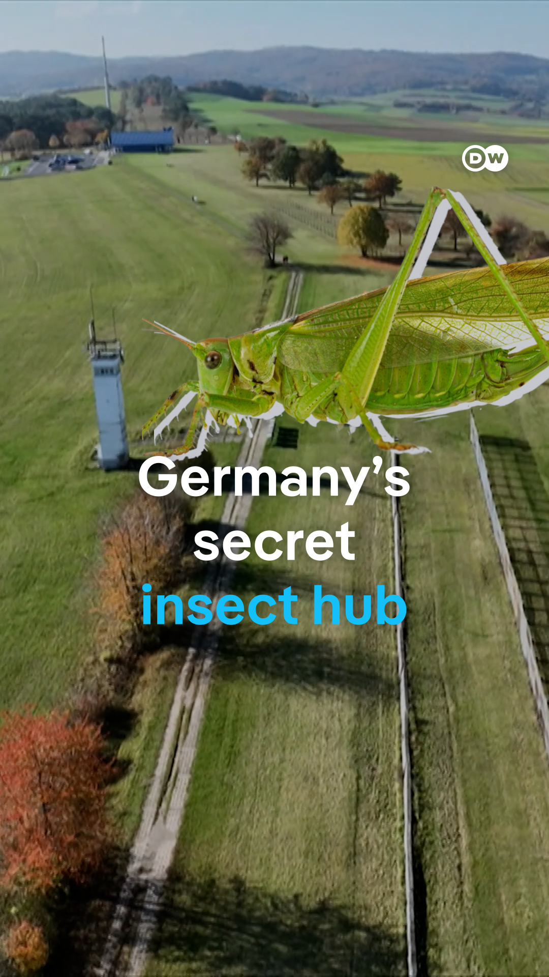 Germany’s Secret Insect Hub