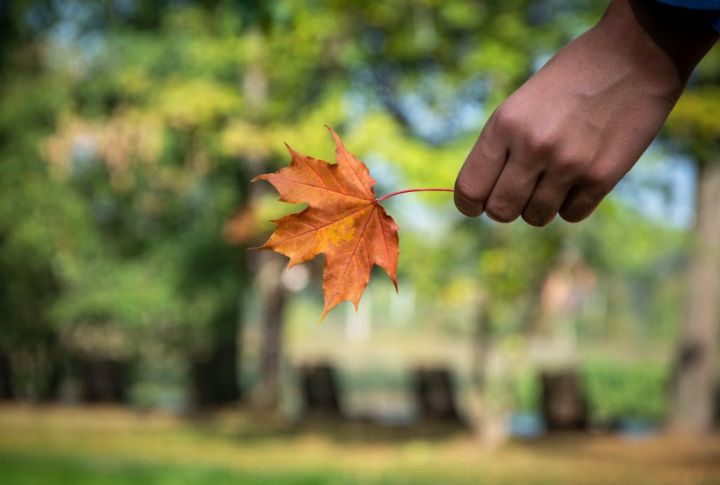 Everyday Fall Habits That Add Warmth To Your Routine