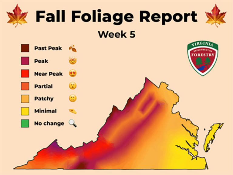 Fall colors are peaking during week five of fall foliage