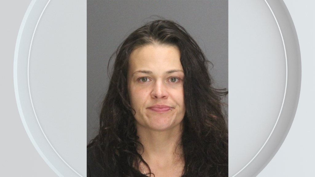 Woman taken into custody and now facing more charges after missing ...
