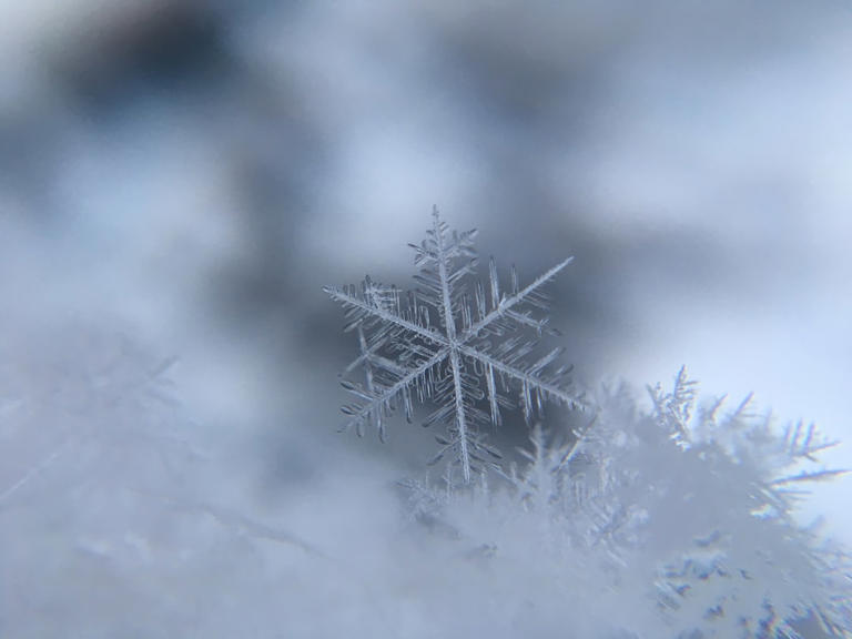NOAA Winter Forecast Reveals Temperature And Snow Expectations: What To ...