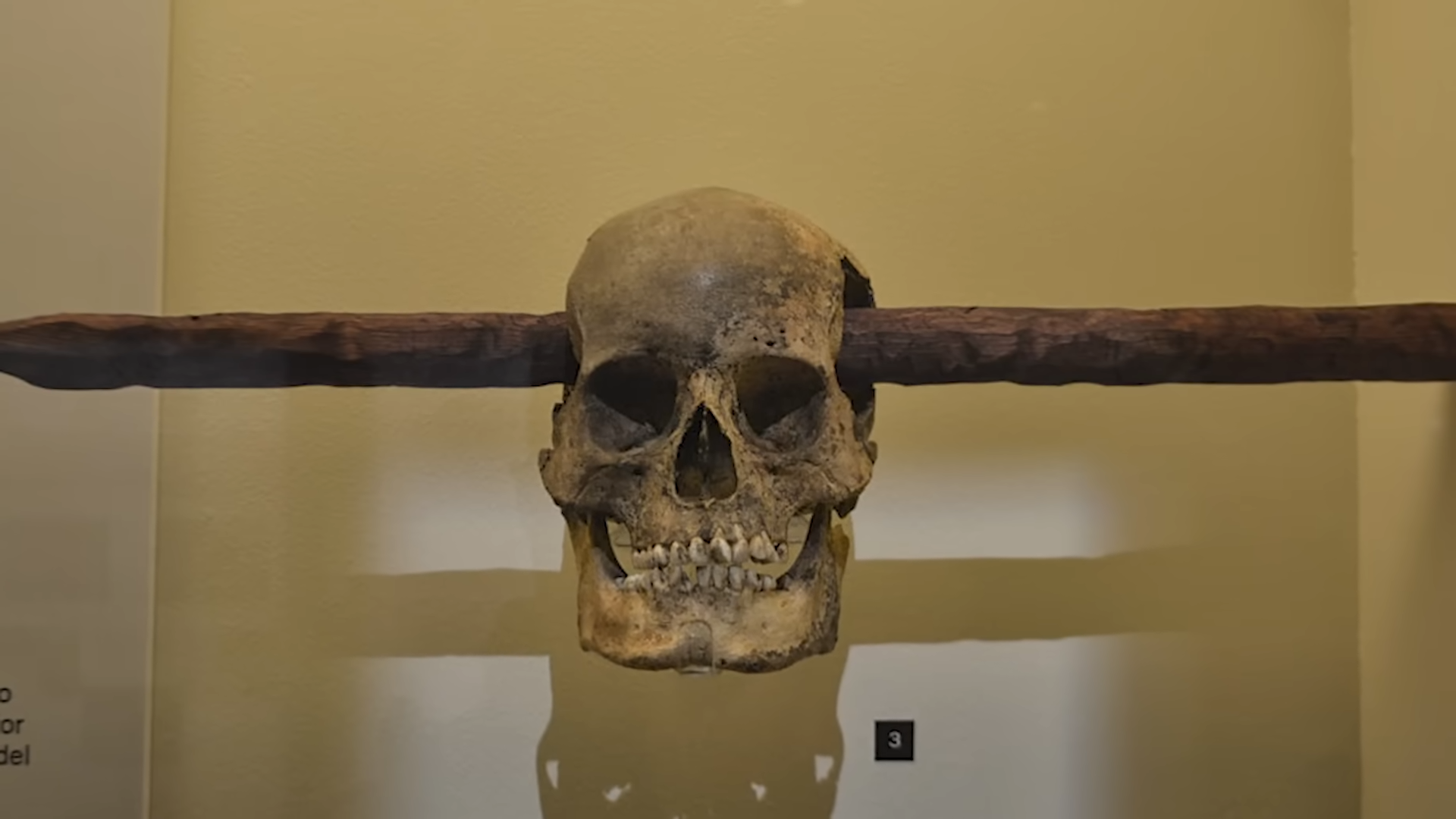 The Aztec Death Whistle - Sound of Terror and Sacrifice