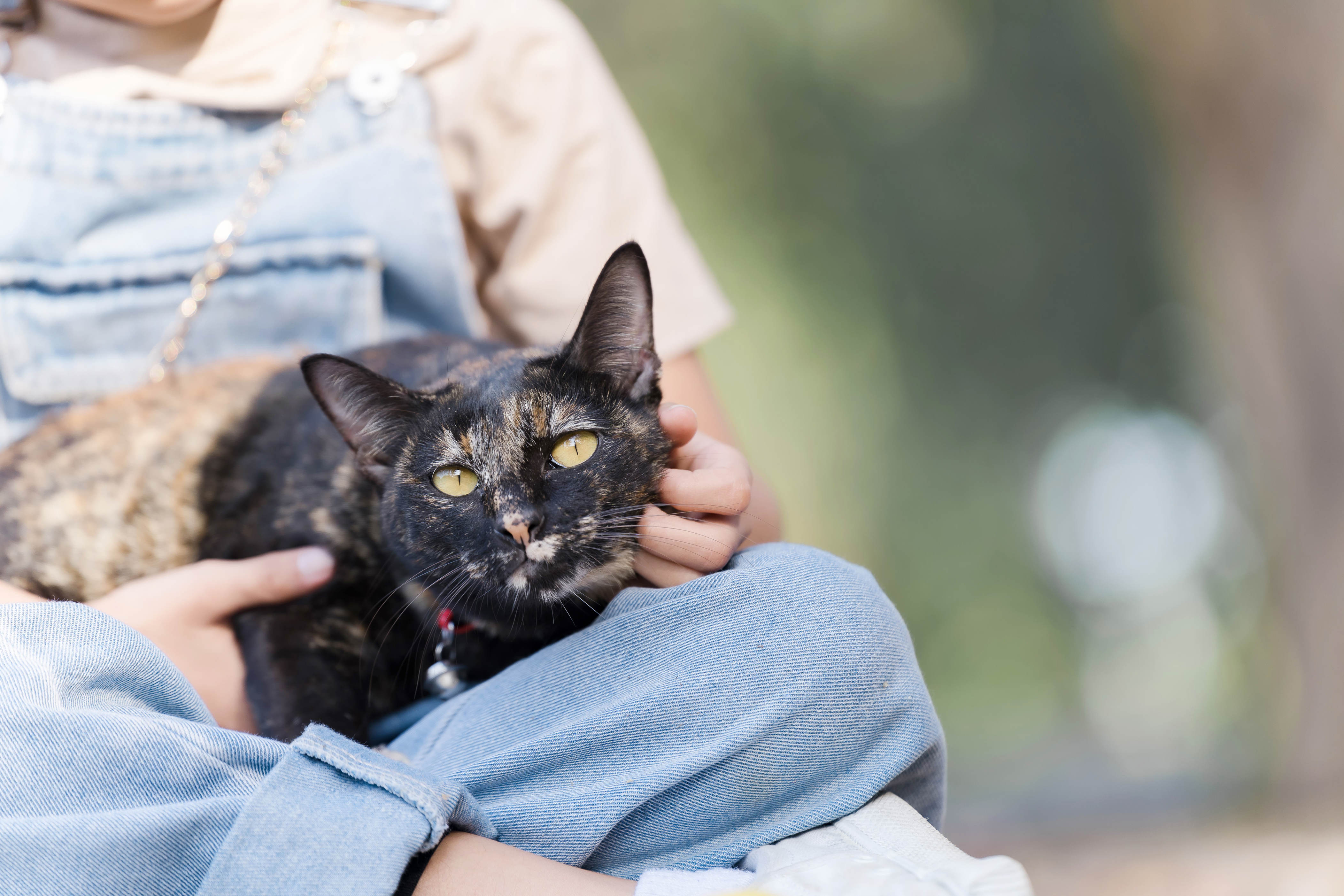 Gen Z owner films cuddle with cat—viewers can’t stop replaying what it did