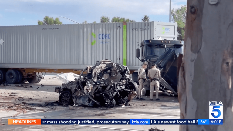 Illegal immigrant trucker accused in fatal California crash released by ...