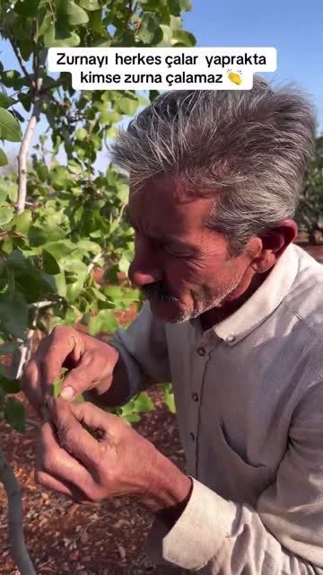 Ağaç yaprağından enstrüman yaptı. Çıkan sesin gerçeğinden hiç farkı yok