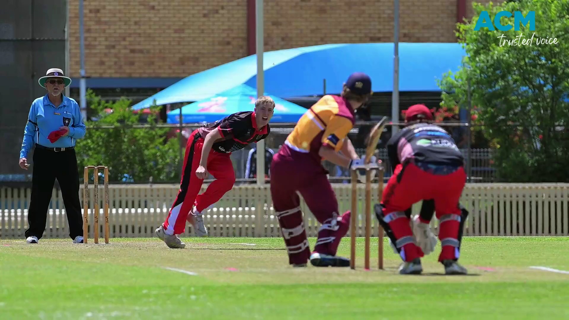 Redbacks begin defence of one-day title in style