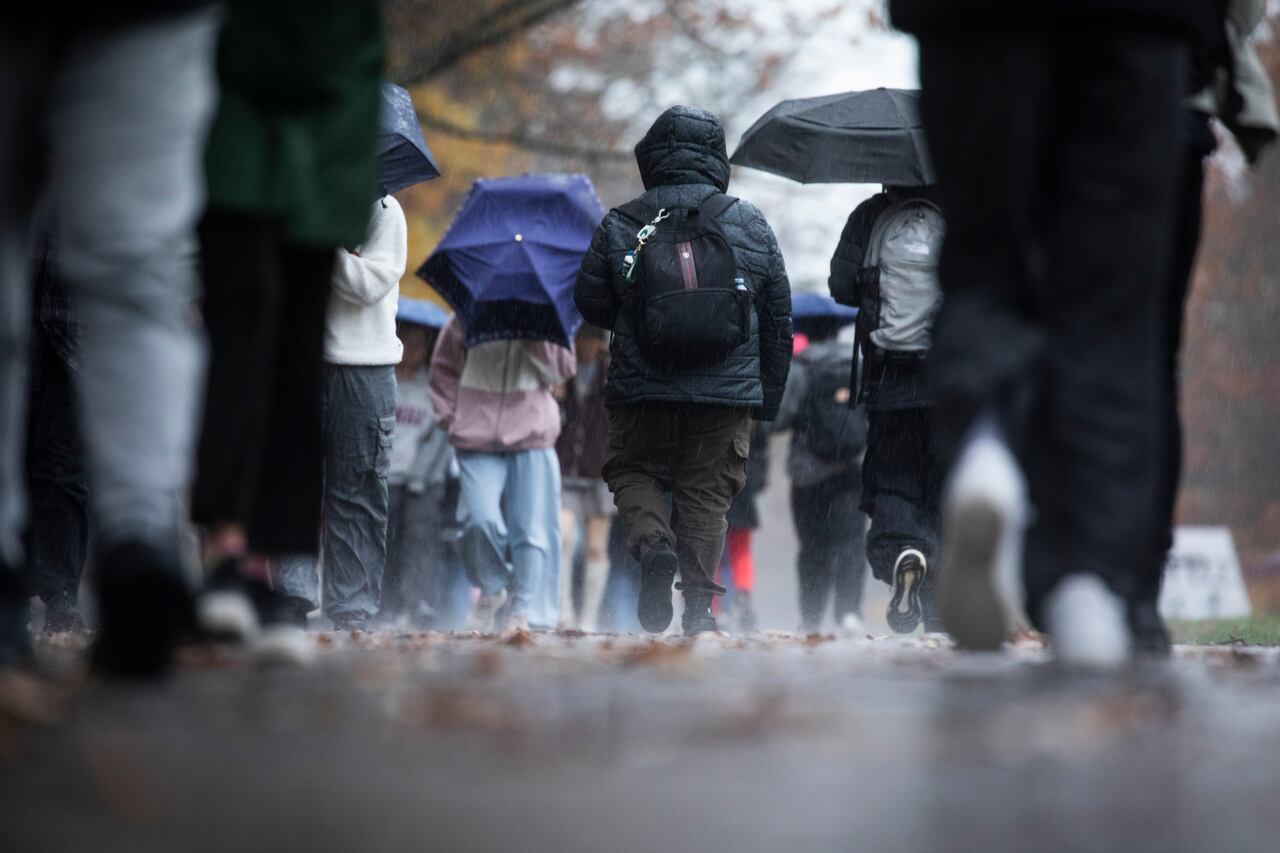 Rain, wind warnings issued for much of B.C. as up to 140 mm forecast