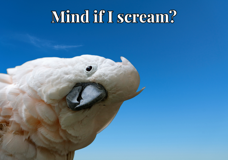 35 Funny Teams Backgrounds To Lighten the Mood for Your Next Meeting