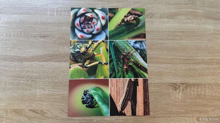 How to Print Archival-Grade Photos at Home