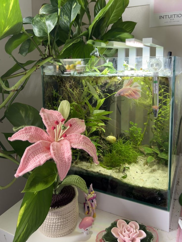 Cara Membersihkan Kaca Aquarium di Rumah dengan Mudah 5 AA1P57cz