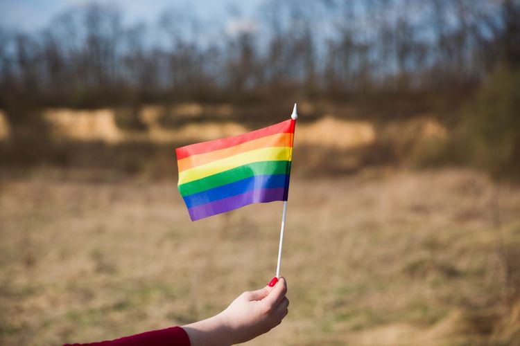 Korea Selatan Akui Pasangan Sesama Jenis di Sensus, Langkah Mengejutkan di Tengah Penolakan