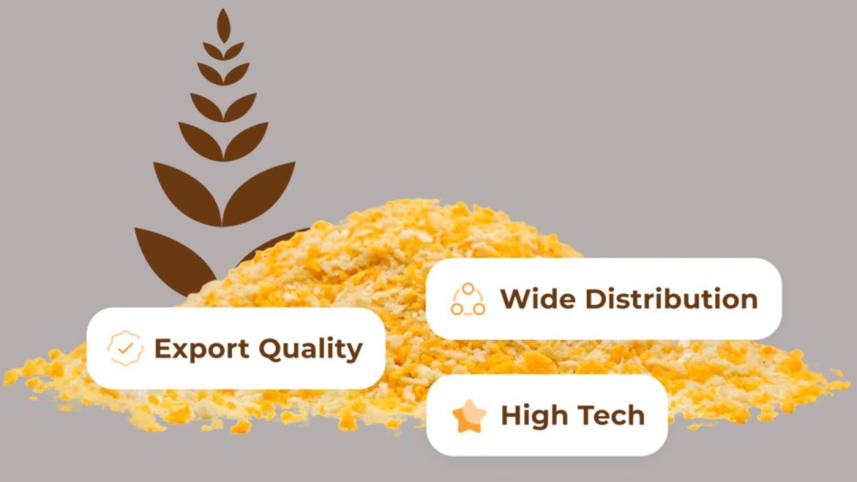 Saham BRRC Melonjak 34,94% Akibat ARA, Ini Kode Aksi Korporasi Pemicunya