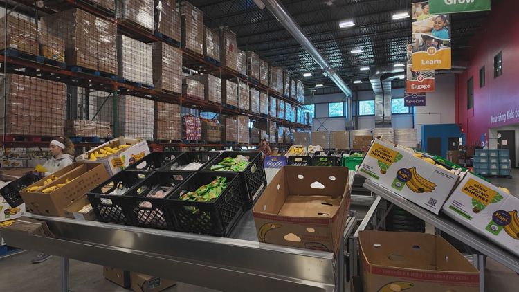 Michigan families face food insecurity as SNAP benefits are halted