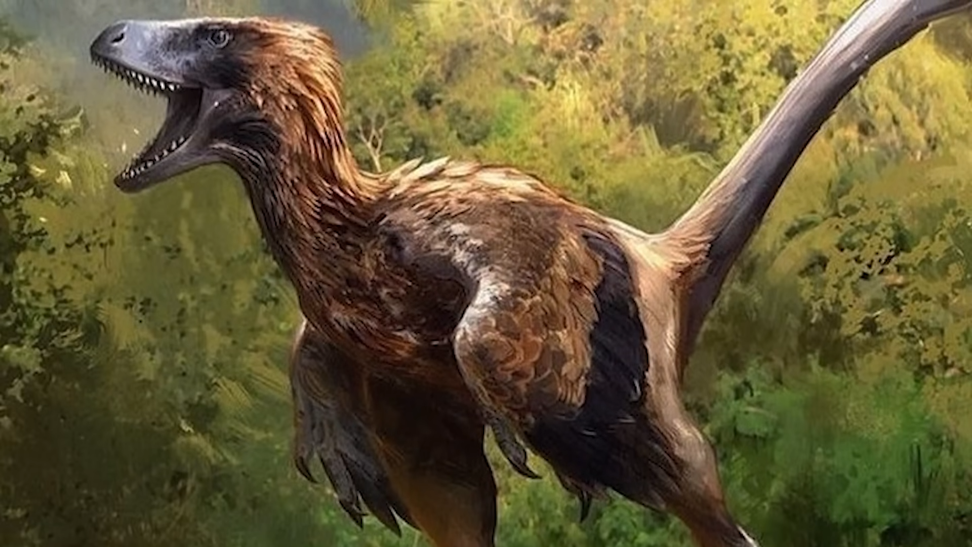 The Mesozoic Raptors That Bridged the Gap Between Dinosaurs and Birds