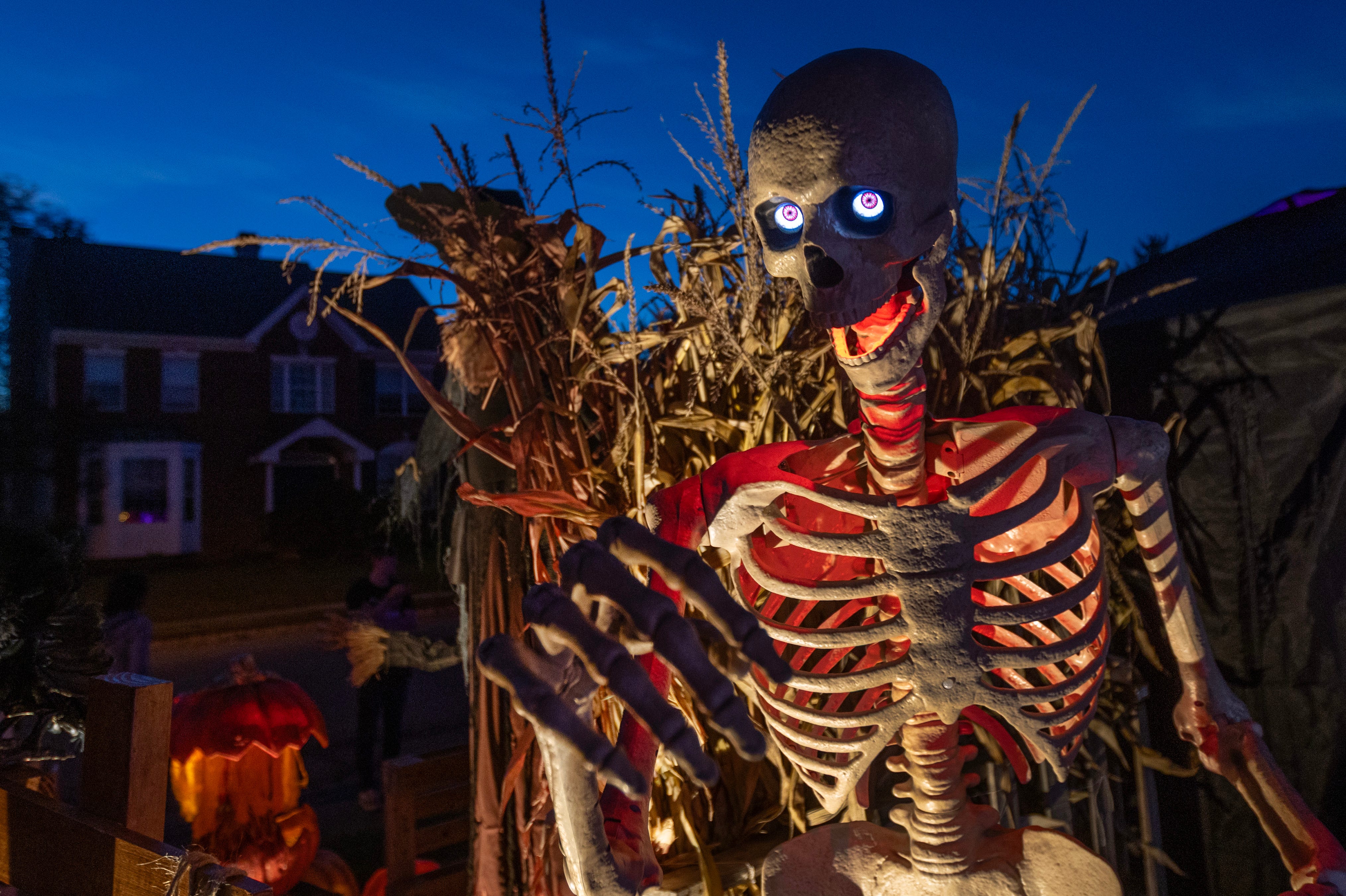 Share, discover the Jersey Shore’s Halloween spirit in photos