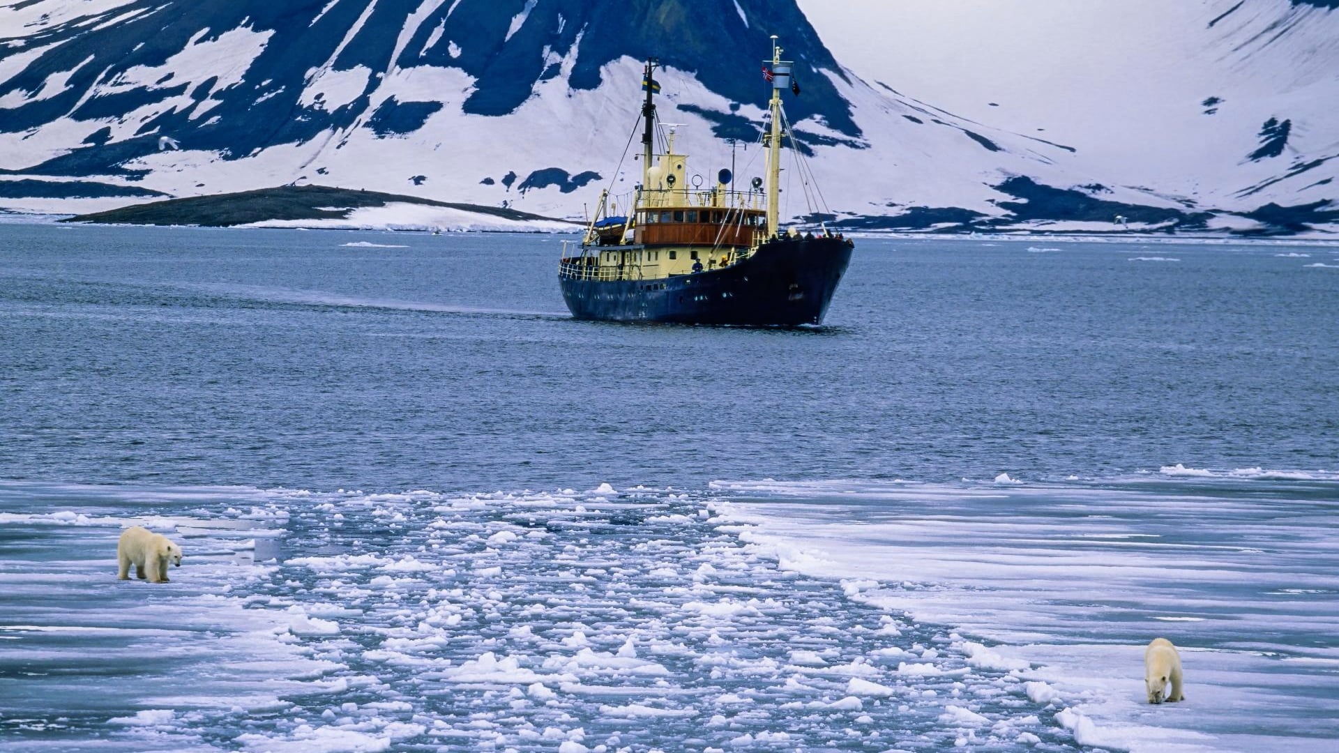 Donald Trump Reopens Arctic Wildlife Refuge For Oil Drilling