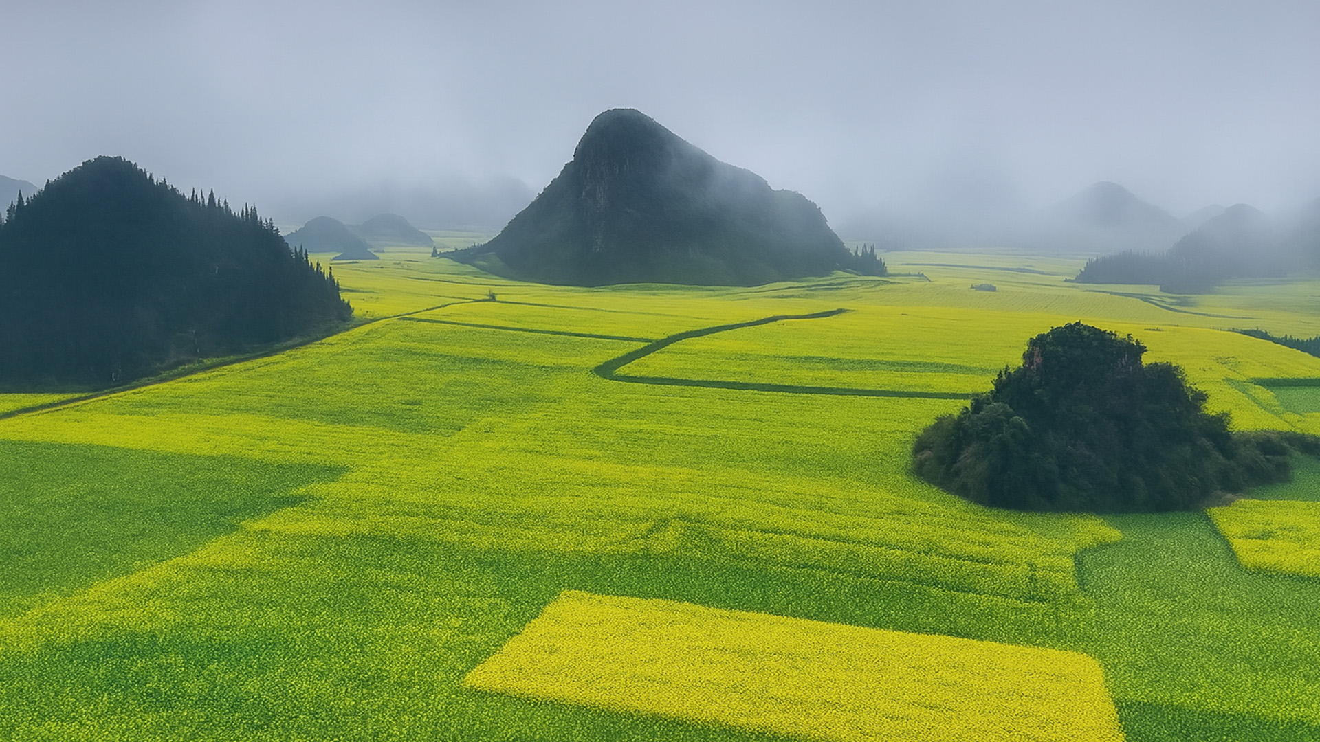 Keindahan Ladang Canola dan Bukit Karst di Luoping, China dalam 4K