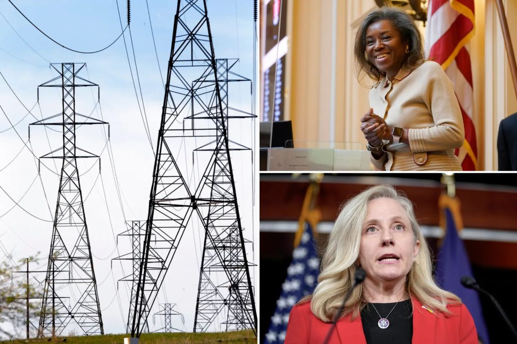 Rising electricity costs spark voter attention in Virginia elections(00)