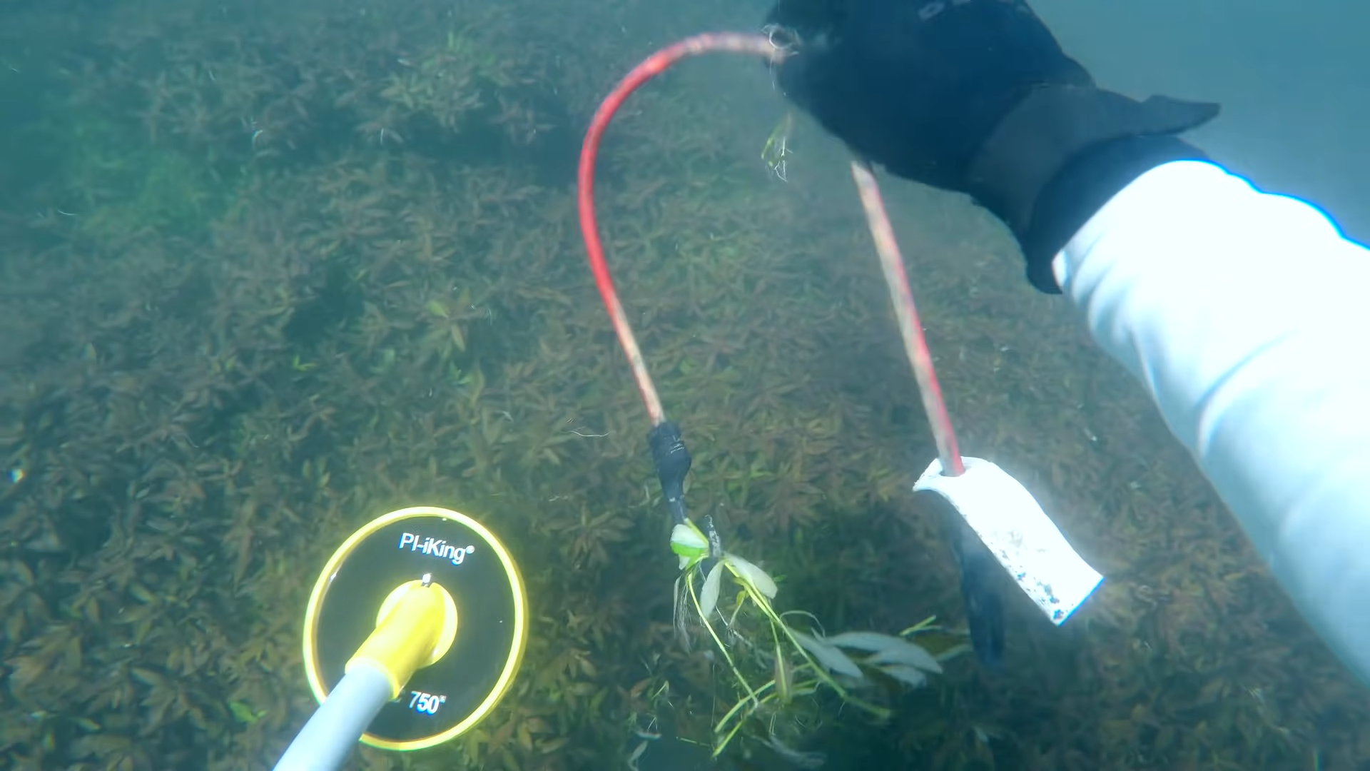 Metal Detecting a River | Found iPhone X and Watch Underwater