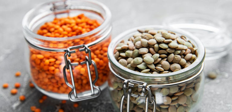 أنواع العدس