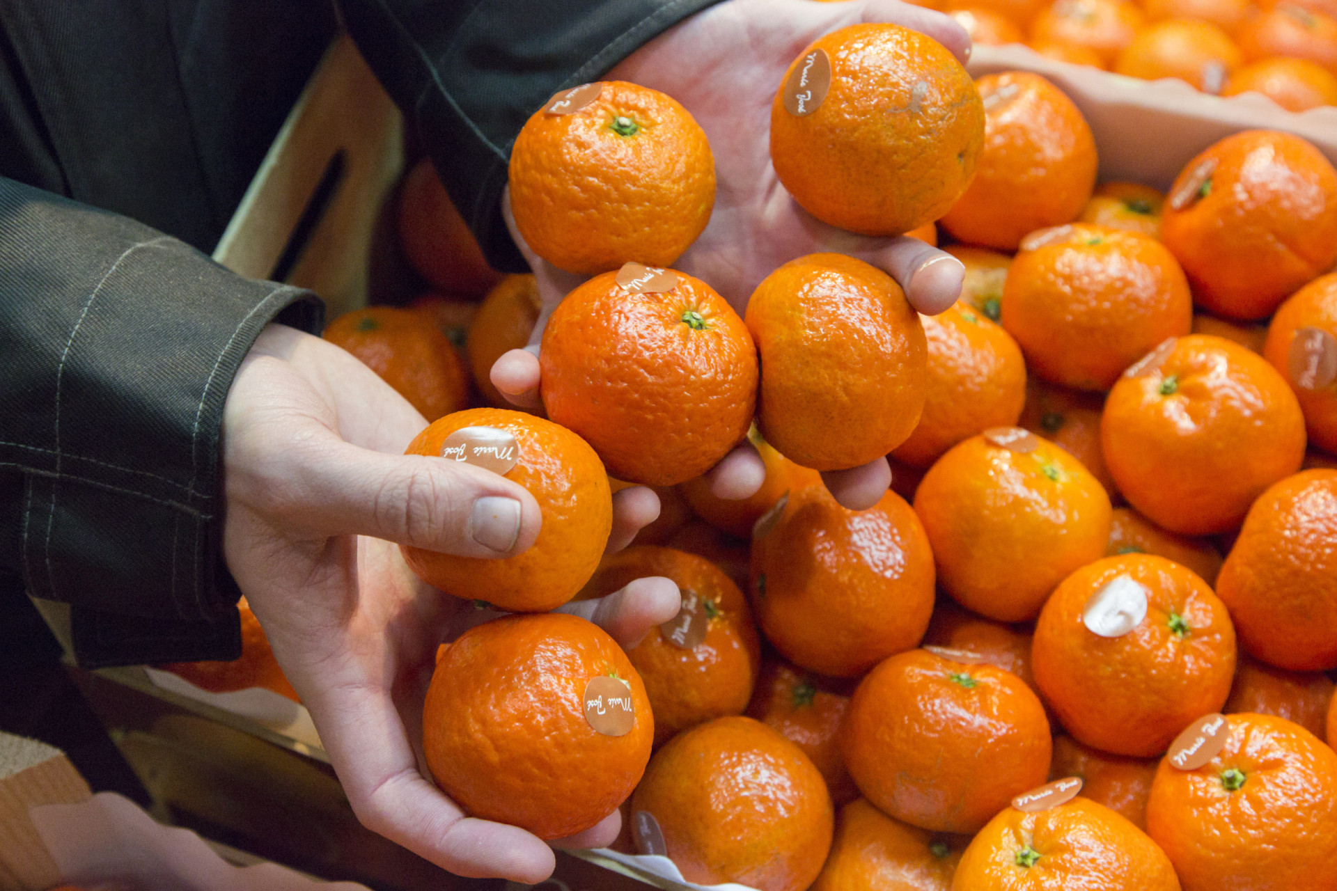 Foods that contain almost no calories