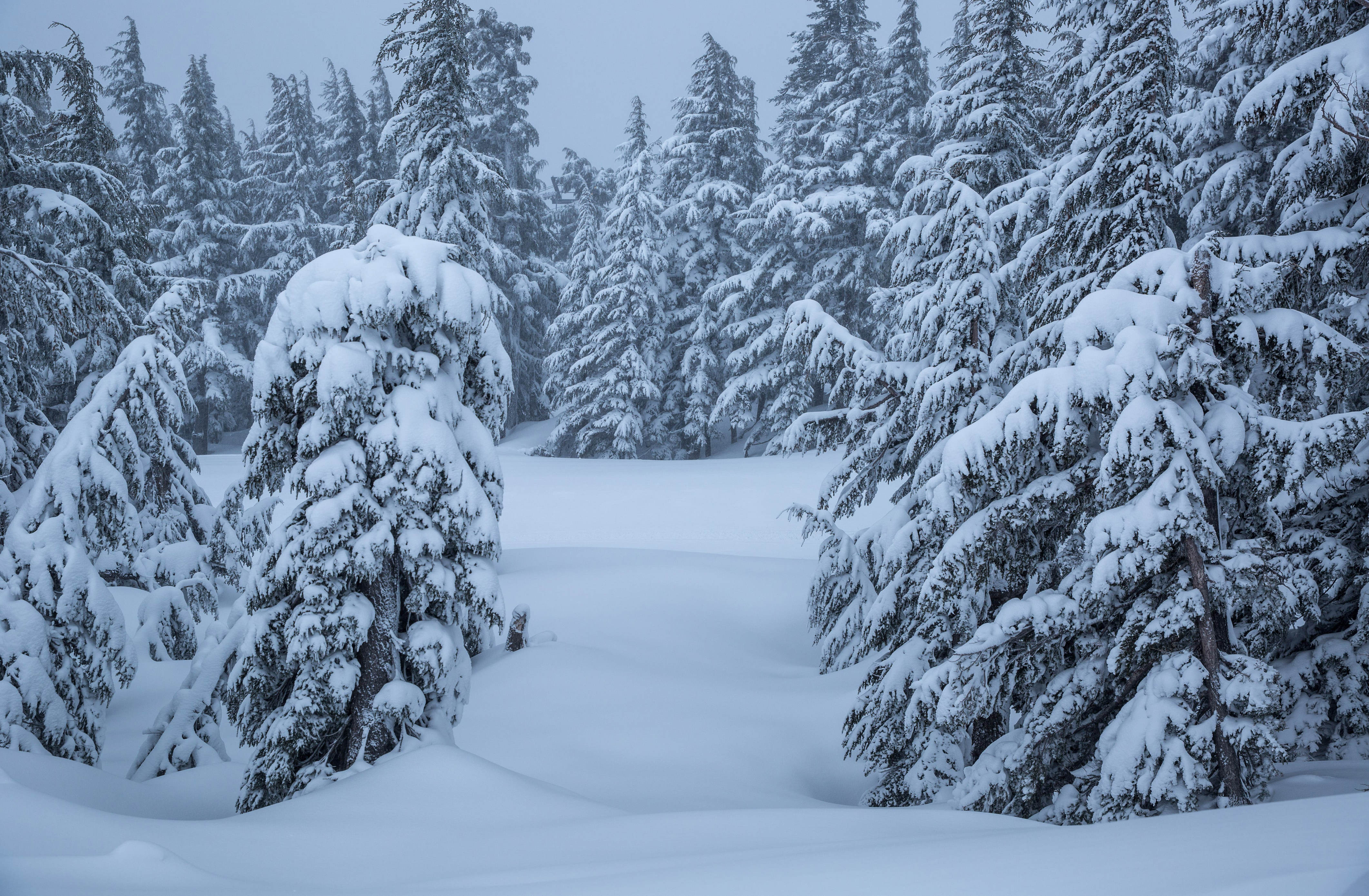 Winter weather warning as 16 inches of snow to hit this weekend
