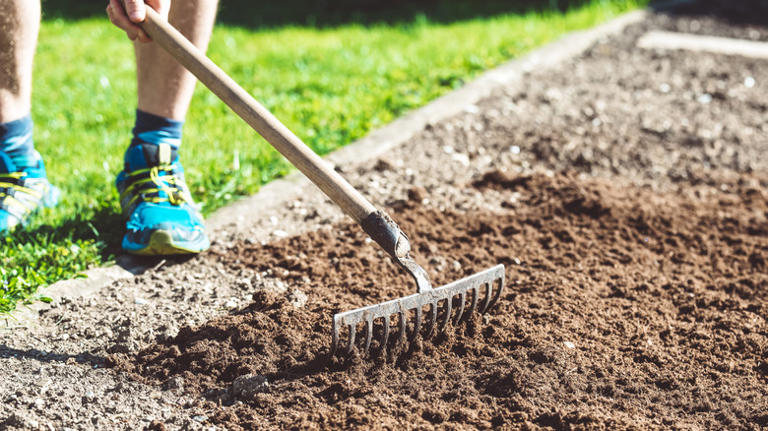 You've Been Using The Wrong Rake, And It Shows In Your Garden