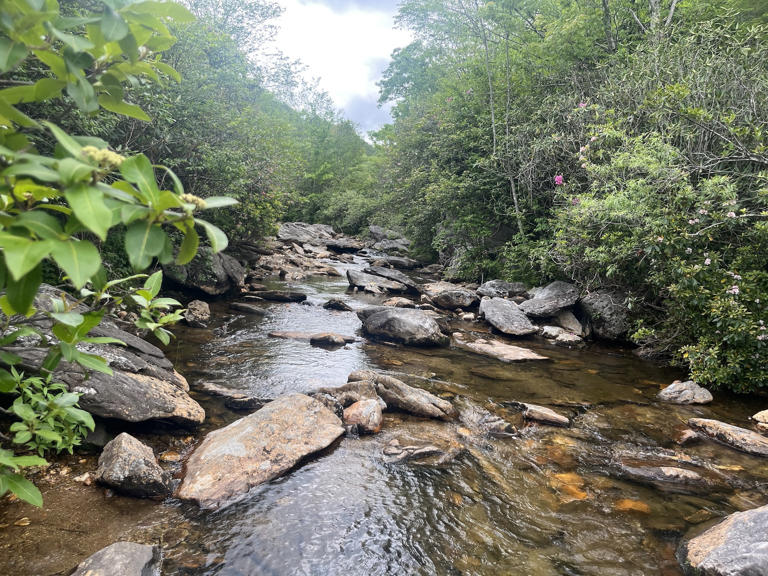 Where the Appalachian brook trout vanish, something human goes missing, too