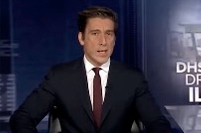 David Muir viewers question 'is this real life' as ABC host shares