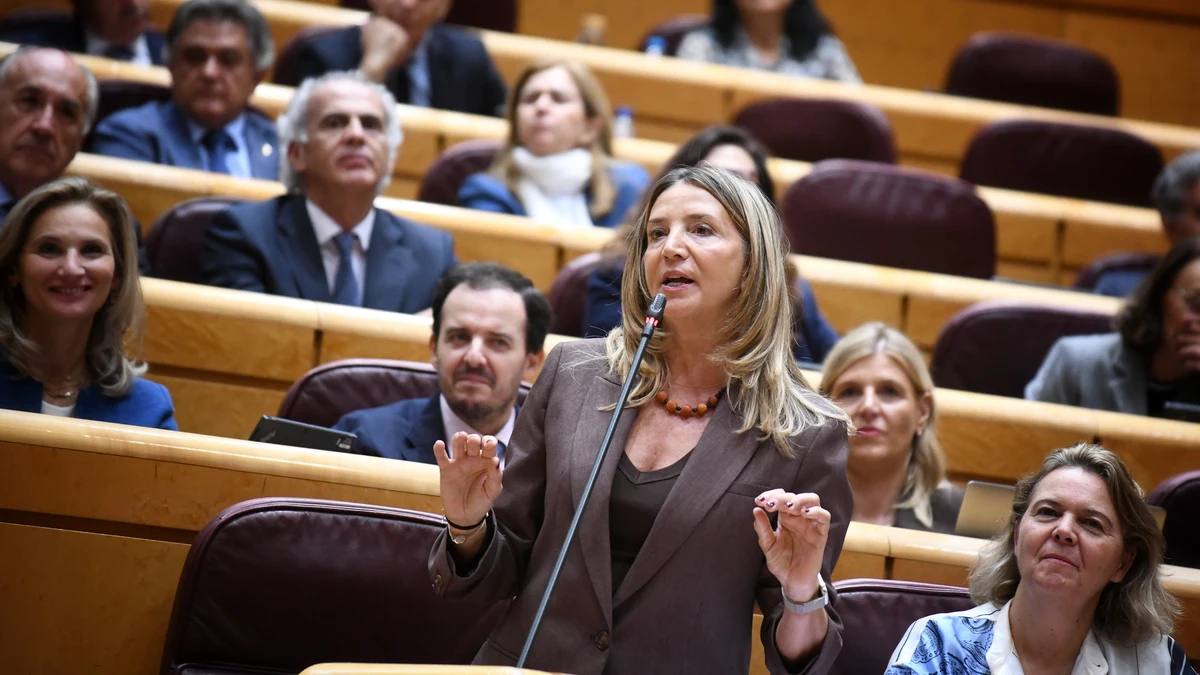 El PP prorroga la comisión del 'caso Koldo' en el Senado para ...