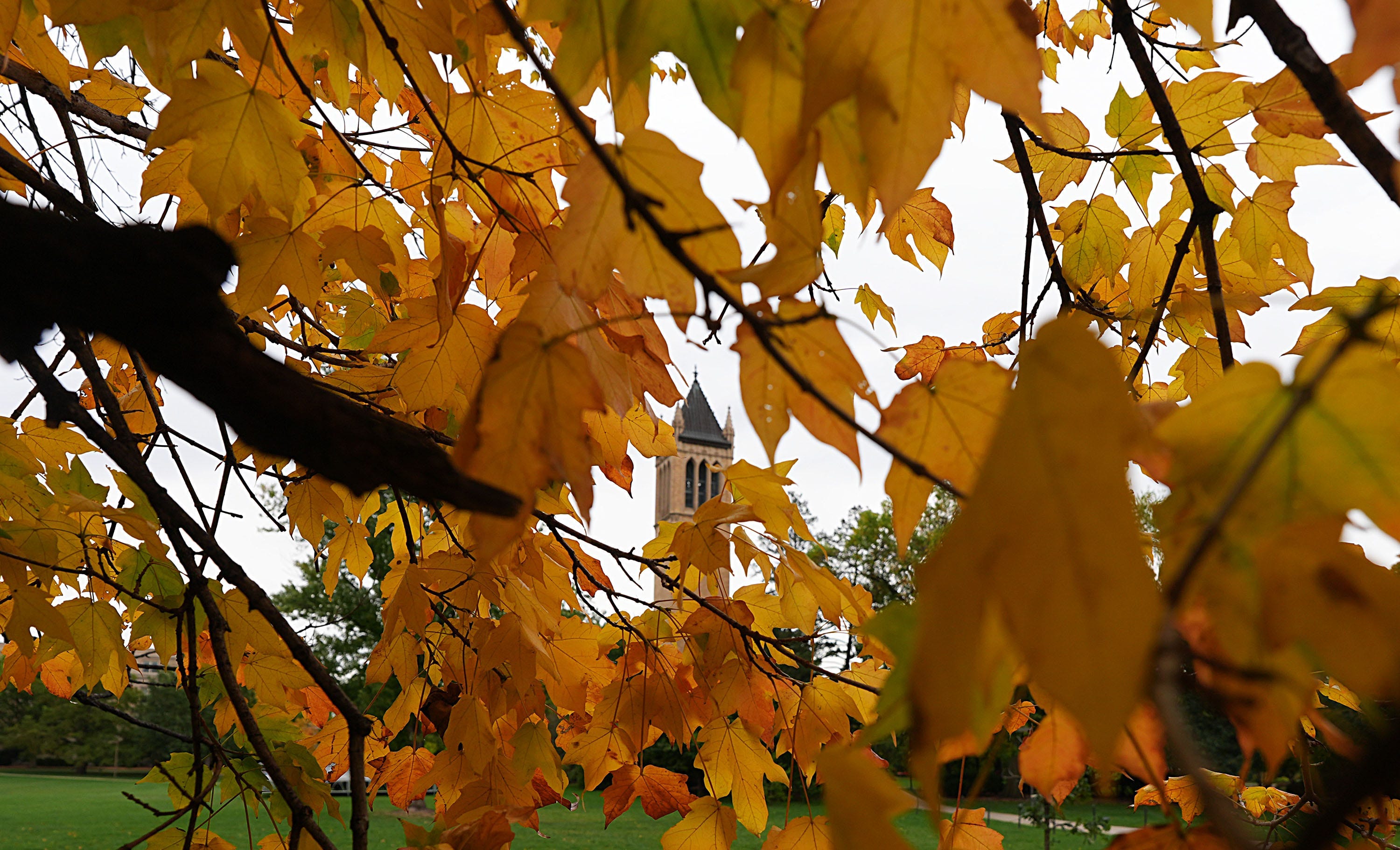 Where is fall foliage peaking in late October? See US map