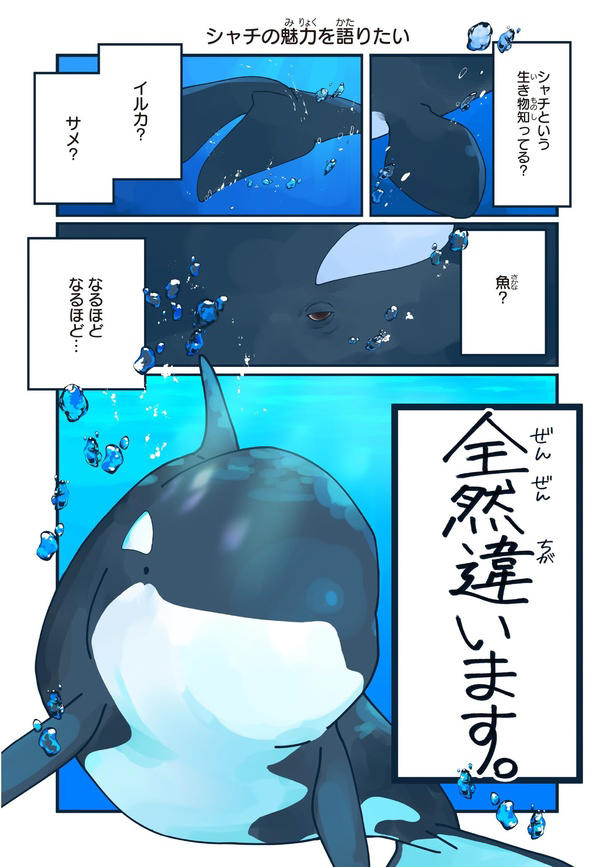 イルカの仲間？ 海のギャング？ 知れば知るほど好きになるシャチの生態